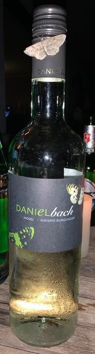 Weingut Daniel Bach